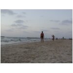 Tel Aviv beaches.jpg